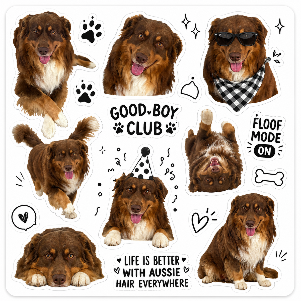Custom Photo Sticker Sheet PNG | Cricut Print Then Cut